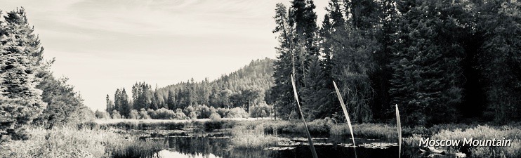 Scenic View of Moscow Mountain
